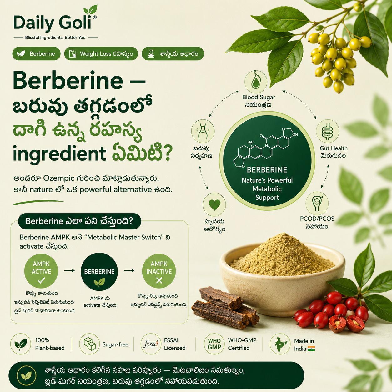 Berberine — బరువు తగ్గడంలో దాగి ఉన్న రహస్య ingredient ఏమిటి?