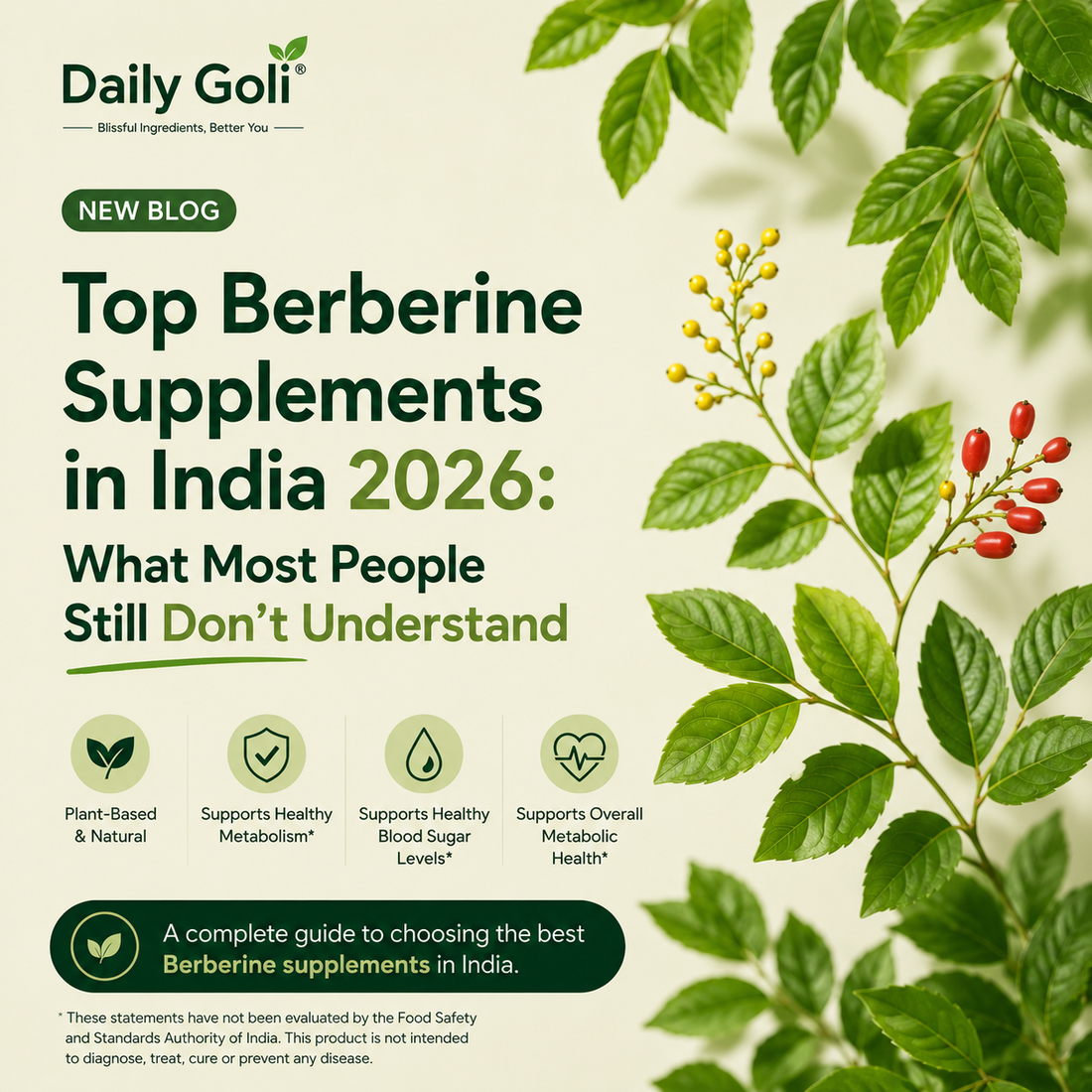 Top Berberine Supplements in India (2026) — What Most People Still Don’t Understand