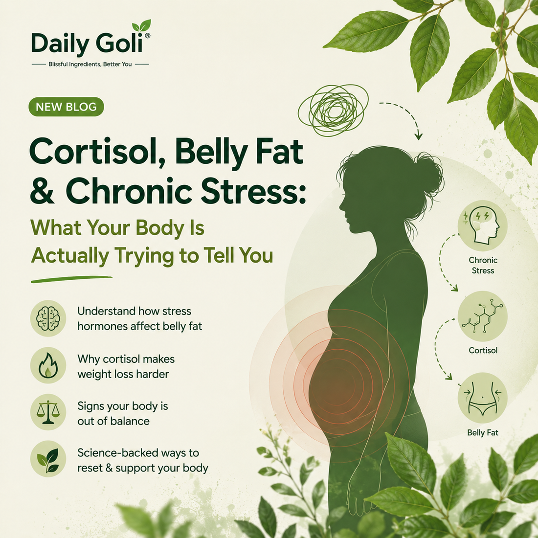 Cortisol, Belly Fat & Chronic Stress: What Your Body Is Actually Trying to Tell You