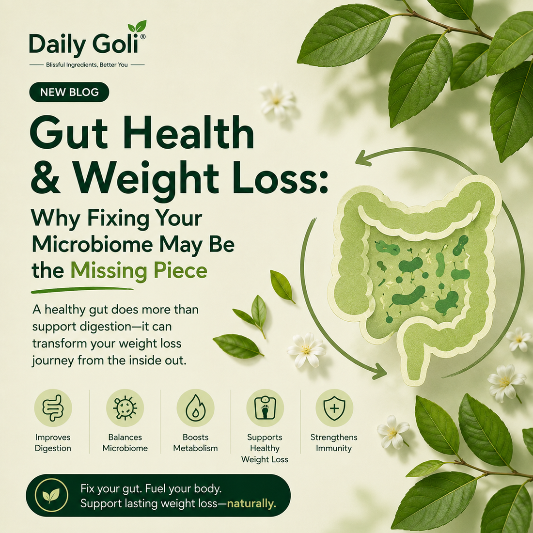 Gut Health & Weight Loss: Why Fixing Your Microbiome May Be the Missing Piece